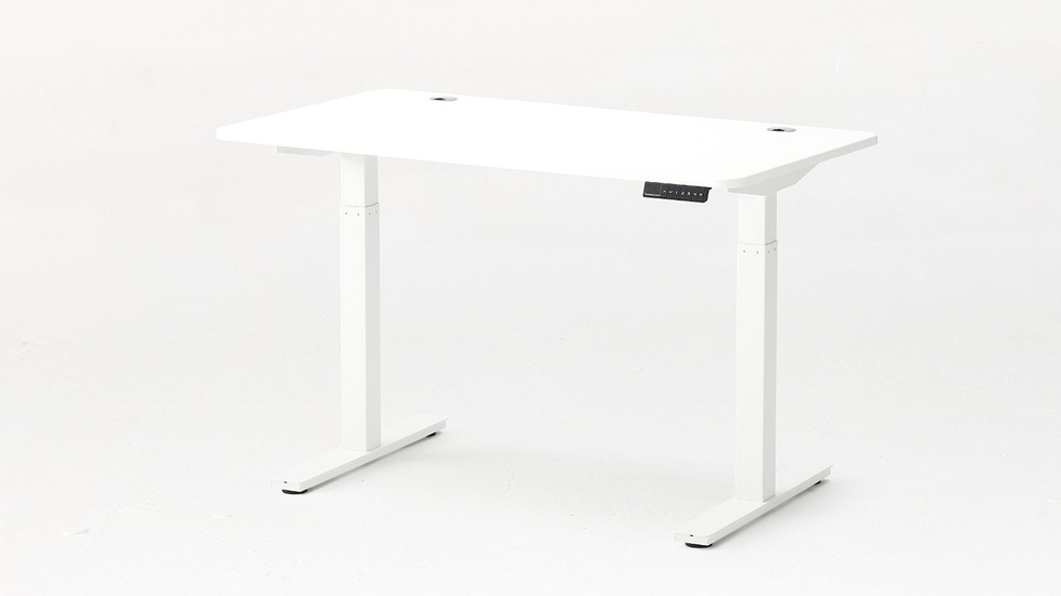 Vinsetto Electric Standing Desk - 120 x 60 cm Height Adjustable Sit Stand  Desk